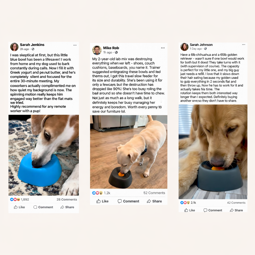 INTERACTIVE SLOW FEEDER LICK BOWL