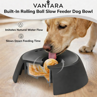 INTERACTIVE SLOW FEEDER LICK BOWL