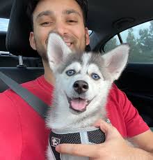 Alfred, Dog Owner